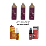 Бизнес набор Начальный 3851