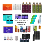 Бизнес набор Максимум 3854