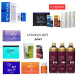 Промо бизнес набор ЭЛИТ 3875